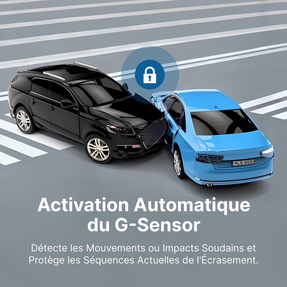 PolorVision image