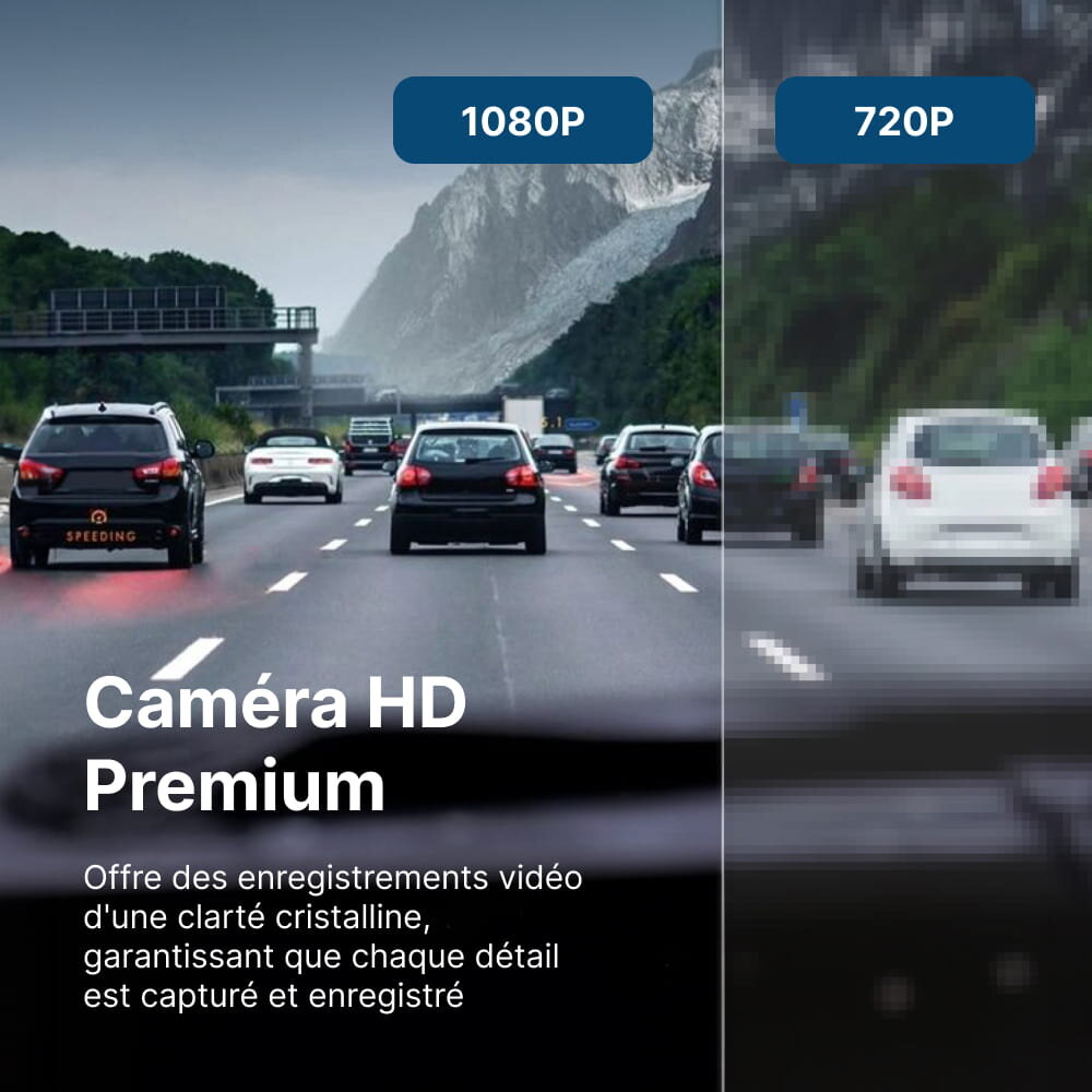 PolorVision image
