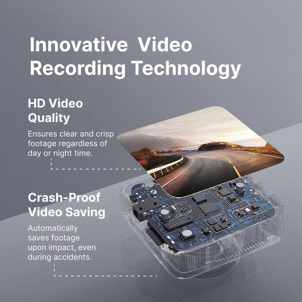 PolorVision image